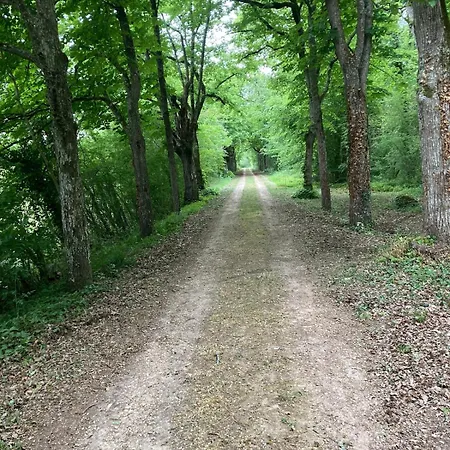 La Ferme Des Hautes Roches Quincay